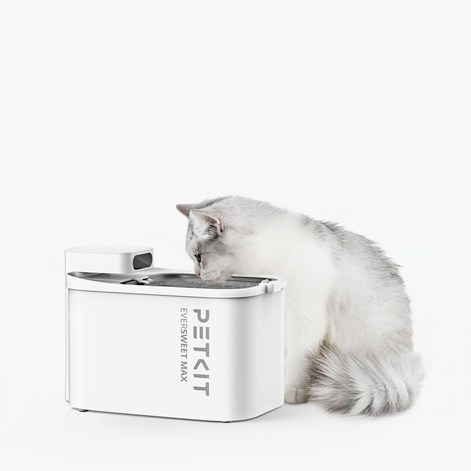 Premium Smart Water Fountain