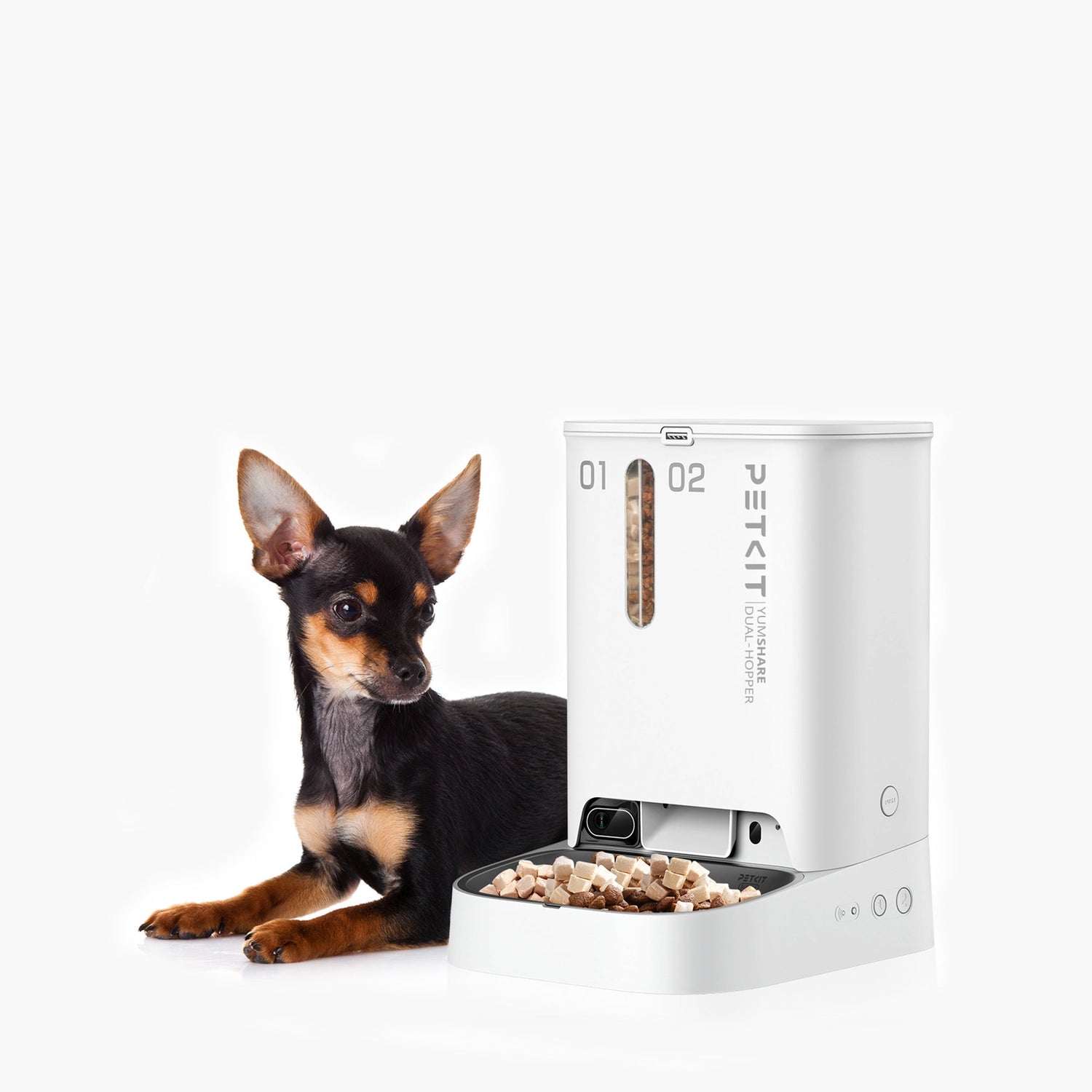 Intelligent Pet Smart Feeder