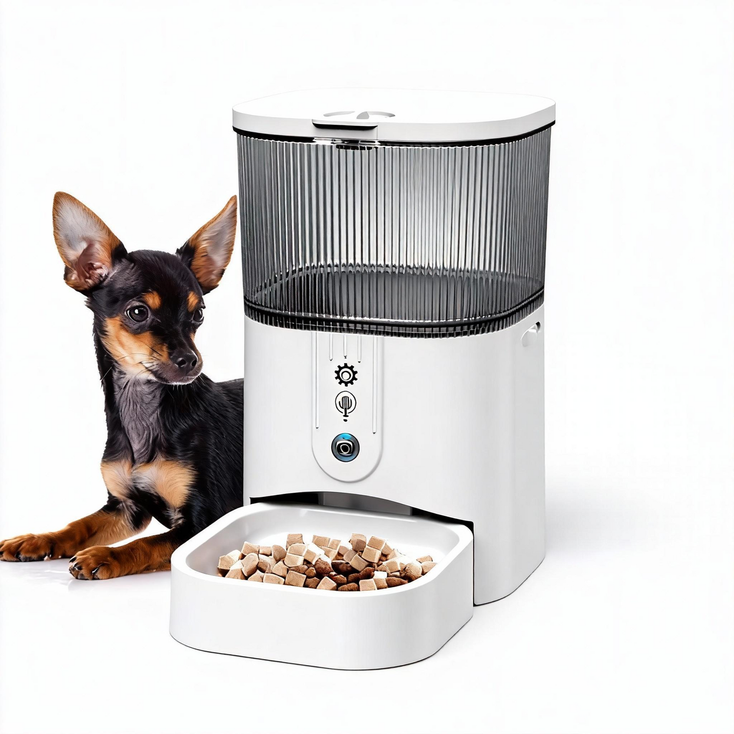 Intelligent Pet Smart Feeder