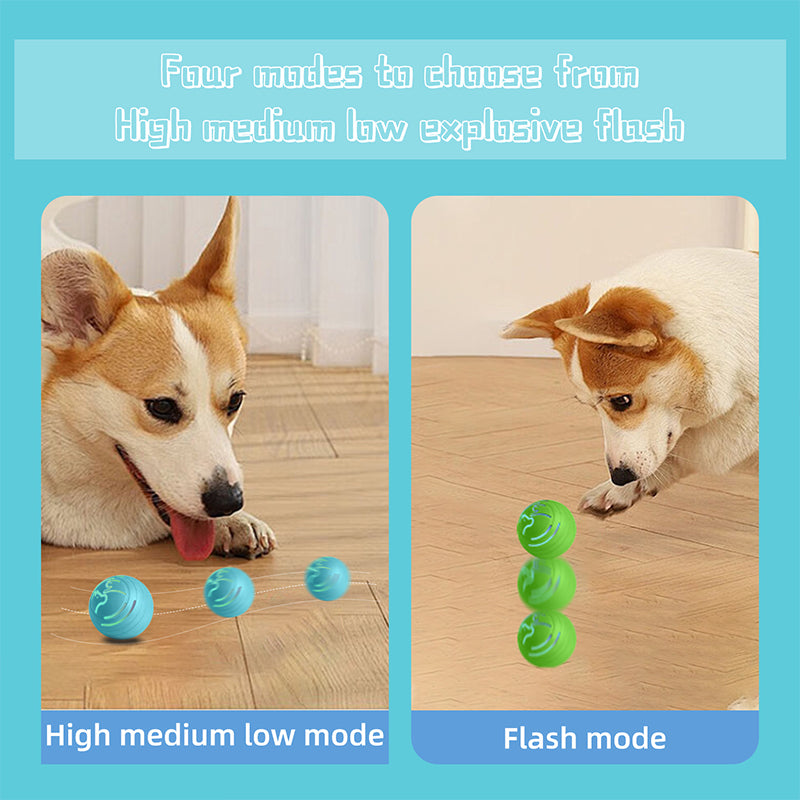 Elektrischer Haustierball Q2