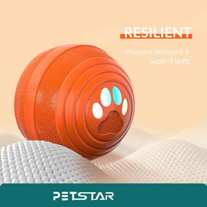 Elektrischer Haustierball Q6