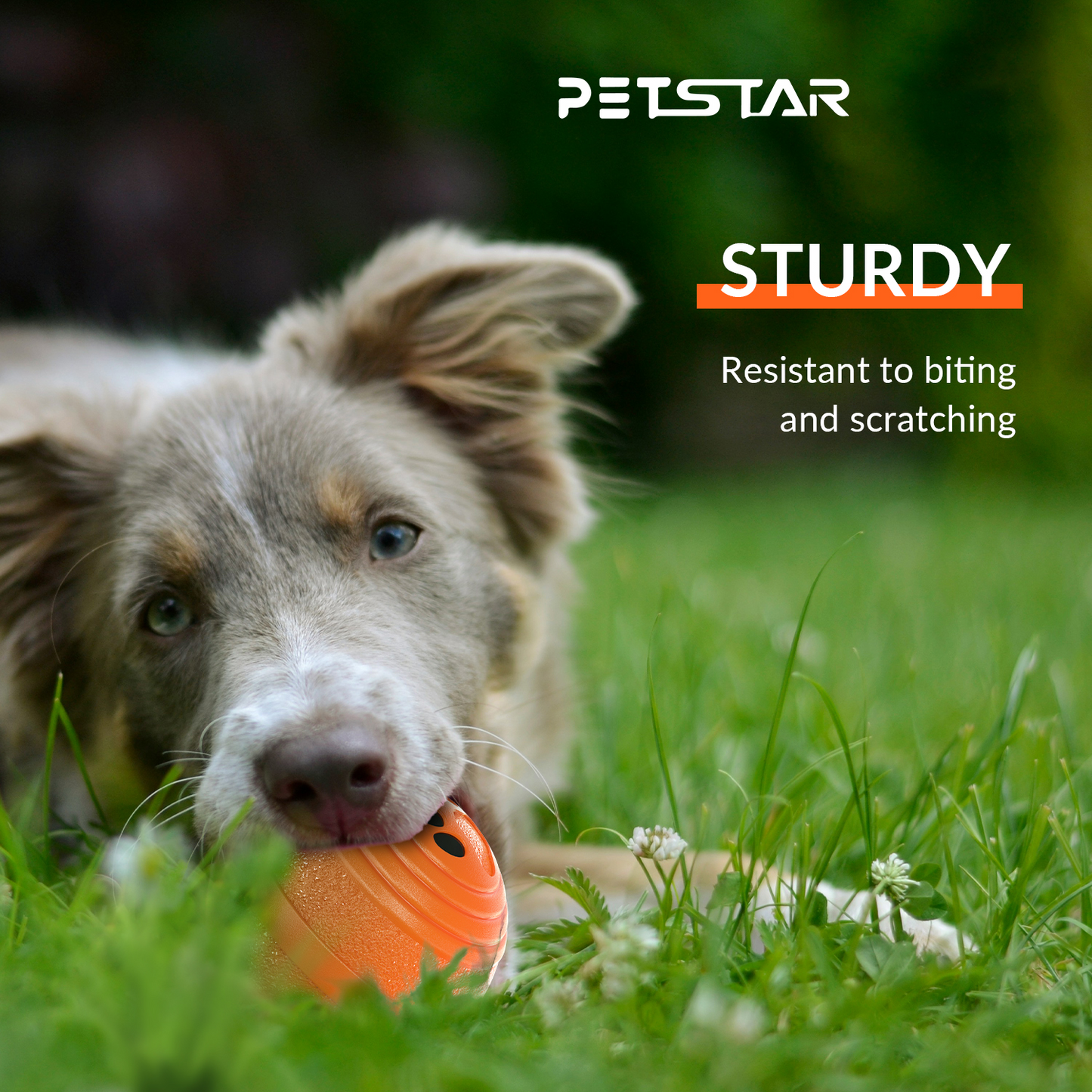 Elektrischer Haustierball Q6