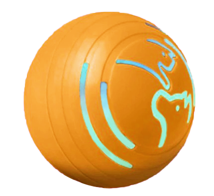 Elektrischer Haustierball Q2