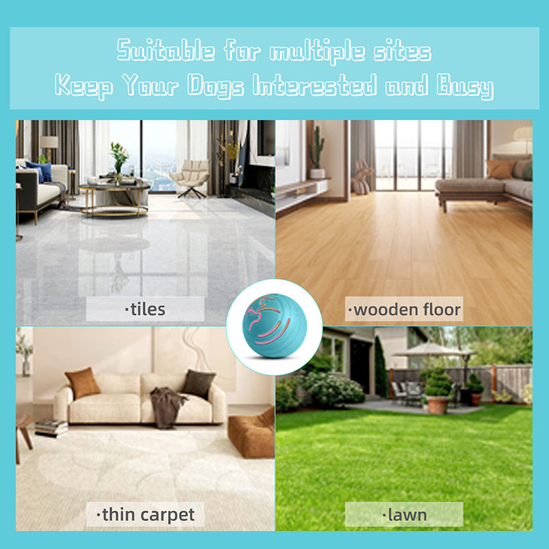 Elektrischer Haustierball Q2