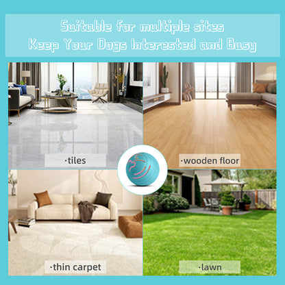 Elektrischer Haustierball Q2