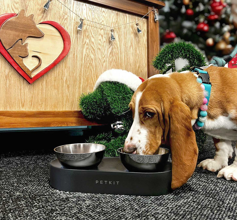 @Inland Valley Humane Society & SPCA